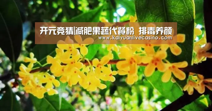 开元竞猜|减肥果蔬代餐粉 排毒养颜(图3) 开元真人