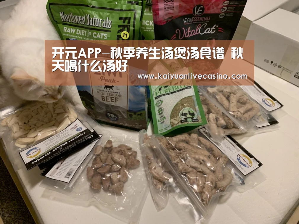 开元竞猜